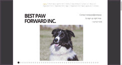 Desktop Screenshot of bestpaw.com