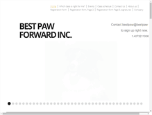 Tablet Screenshot of bestpaw.com